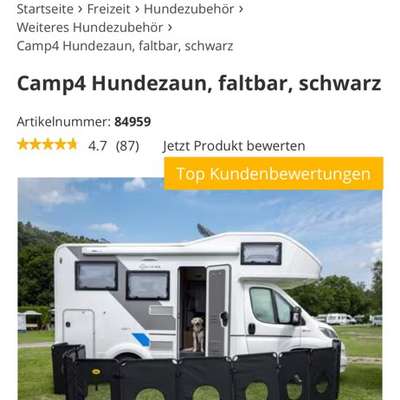 Camping mit Hund/en-Beitrag-Bild
