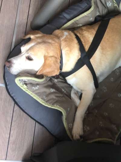 Fotochallenge 101:
On Tour-Beitrag-Bild