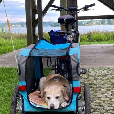 Fahrradanhänger-Beitrag-Bild