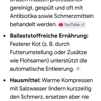 Analdrüsen-Beitrag-Bild