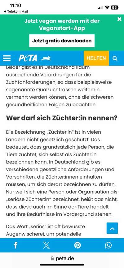 Überfüllte und unterfinanzierte Tierheime – Braucht es politisches Handeln?-Beitrag-Bild