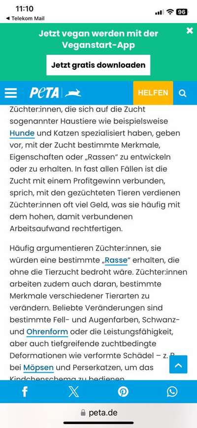 Überfüllte und unterfinanzierte Tierheime – Braucht es politisches Handeln?-Beitrag-Bild