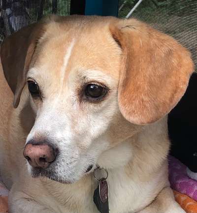 Fotochallange Nr. 57     PORTRÄT.   Beendet!!!!!!!!-Beitrag-Bild