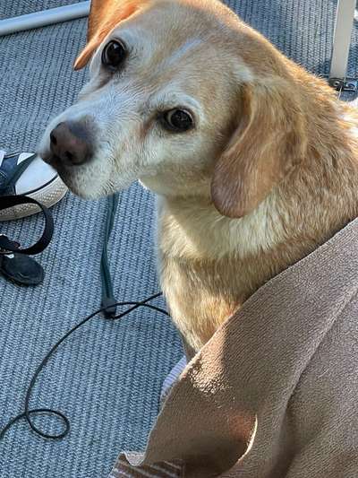 Handy-Foto Challange Nr. 10-Beitrag-Bild