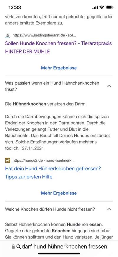 Knochen für den Hund-Beitrag-Bild