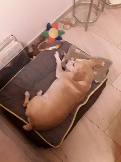 Die unbequemsten und lustigsten Schlafpositionen-Beitrag-Bild