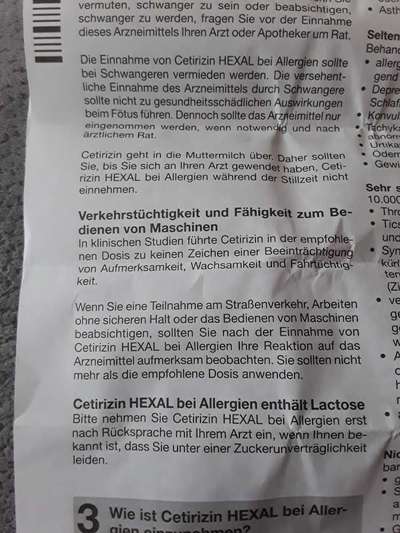 Citrizitin bei Pollenallergie?-Beitrag-Bild