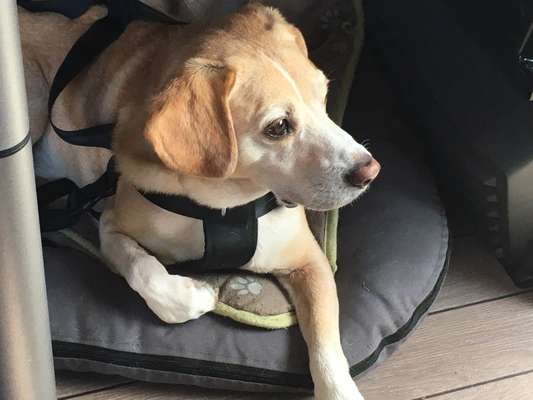 Erstausstattung-Beitrag-Bild