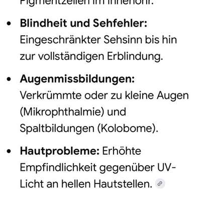 Junghund läuft beim Gassi oft nicht weiter-Beitrag-Bild