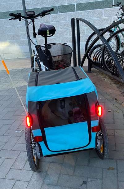 Mit Fahrradanhänger unterwegs?-Beitrag-Bild