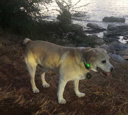 18. Collagen Challenge - Zunge raus!-Beitrag-Bild