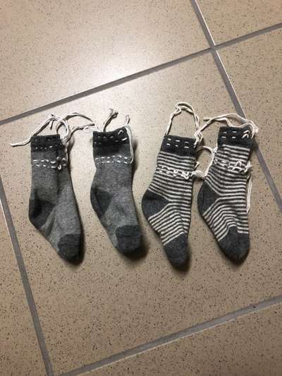 Futterumstellung abbrechen?-Beitrag-Bild