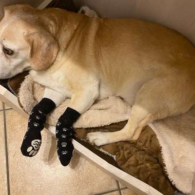 Hautproblem-Beitrag-Bild