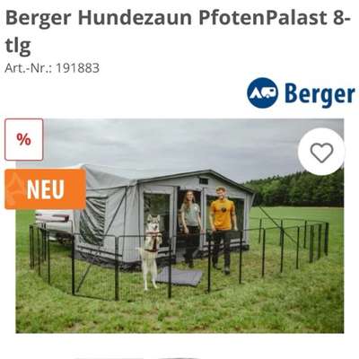 Camping mit Hund/en-Beitrag-Bild