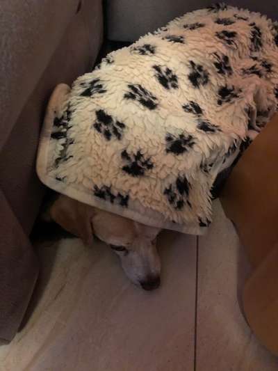 Wie übersteht ihr Silvester?-Beitrag-Bild