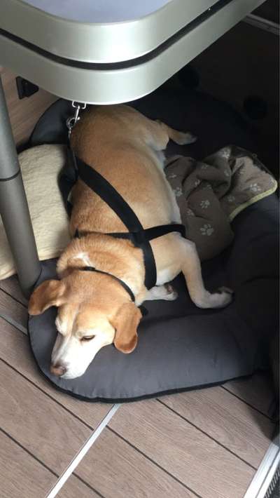 Erstausstattung-Beitrag-Bild