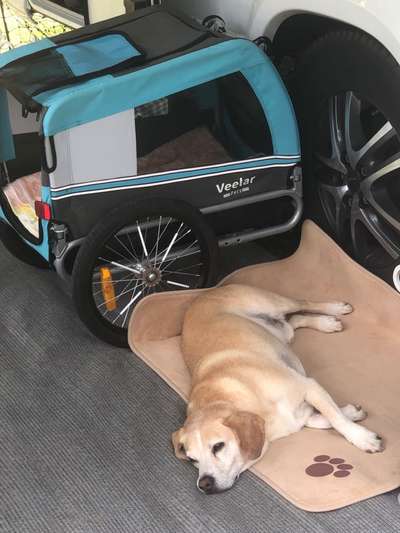 Fahrradanhänger-Beitrag-Bild