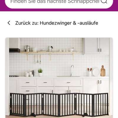 Camping mit Hund/en-Beitrag-Bild