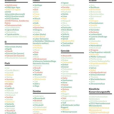 Kotprobe selbst einschicken-Beitrag-Bild