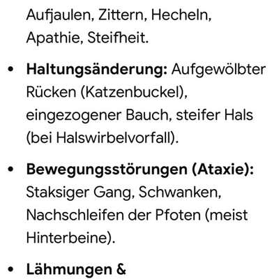 Robbt über den Boden-Beitrag-Bild