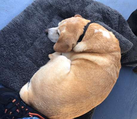 Fotochallange - Eingekugelt-Beitrag-Bild