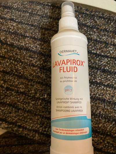 Entzündetes Ohr?-Beitrag-Bild