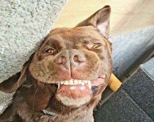 Handy-foto Challange nr. 11-Beitrag-Bild