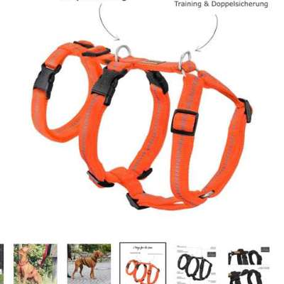 Panikgeschirr gesucht-Beitrag-Bild