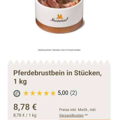 Pferdeknochen gesucht-Beitrag-Bild