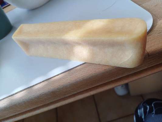 Fremdkörper im Erbrochenem-Beitrag-Bild