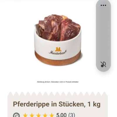 Pferdeknochen gesucht-Beitrag-Bild