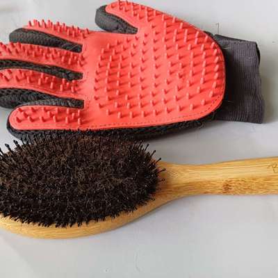 Welpe an bürsten gewöhnen-Beitrag-Bild