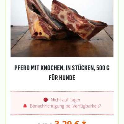 Pferdeknochen gesucht-Beitrag-Bild