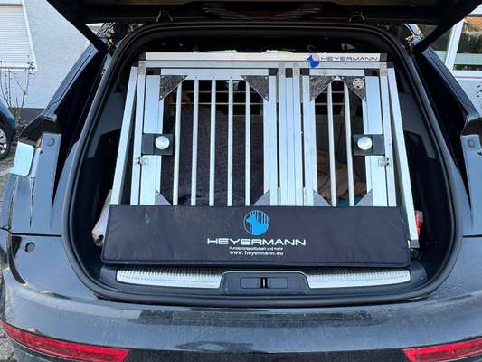 Suche gute Hundebox für zwei unterschiedlich große Hunde-Beitrag-Bild