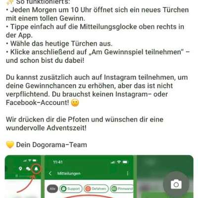 Dogorama Adventskalender-Beitrag-Bild