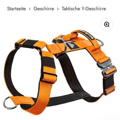 Antizieh Geschirr Amstaff-Beitrag-Bild