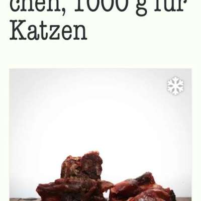 Pferdeknochen gesucht-Beitrag-Bild
