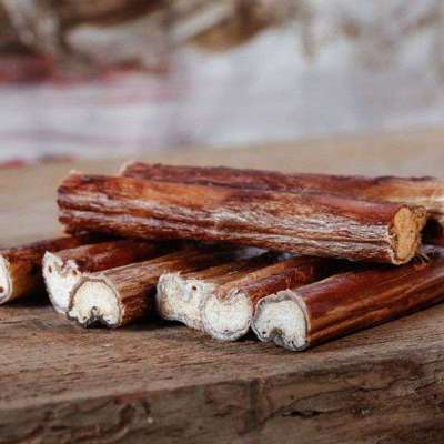 Komisches Ding im Kot-Beitrag-Bild