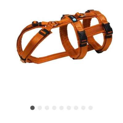 Panikgeschirr gesucht-Beitrag-Bild