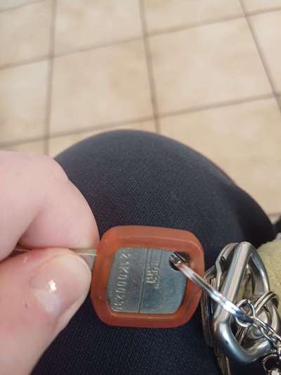 Steuermarke-Beitrag-Bild