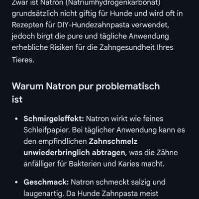 Zahnpflege-Beitrag-Bild