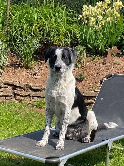 Fotochallenge Nr. 62 Romantische Momente-Beitrag-Bild