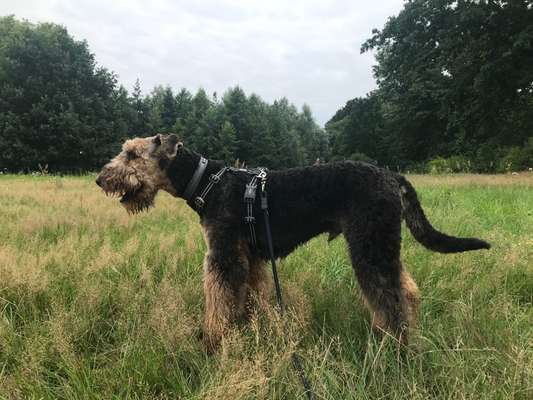 Angst vor Geschirr-Beitrag-Bild