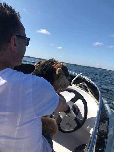 Die Dogorama Wochen Challenge-Beitrag-Bild