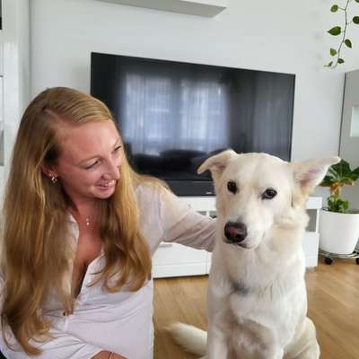 Hundetreffen-Gassirunde in Nied-Bild