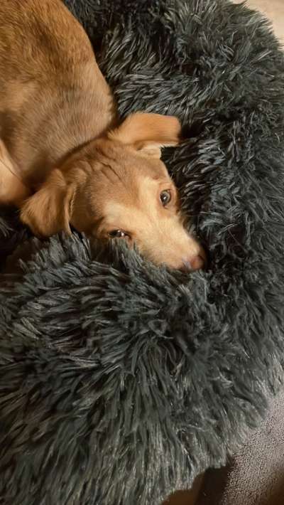 Lieblingsbild-Beitrag-Bild