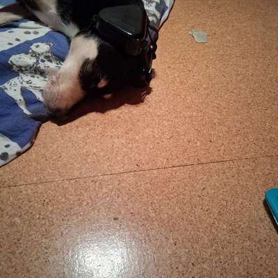 Ohrenschützer/Ohrstöpsel-Beitrag-Bild