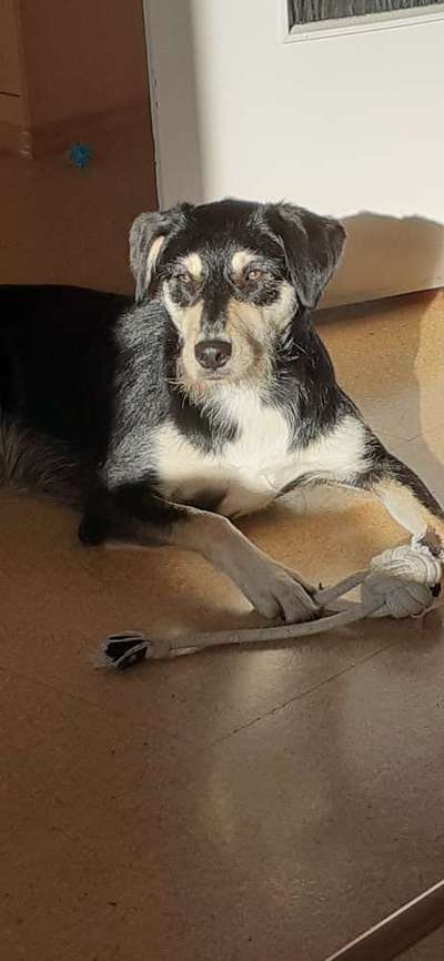 Fotowettbewerb zum Thema "Sonne"-Beitrag-Bild