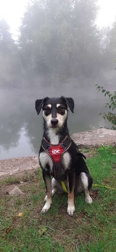 Zeigt eure Portraits-Beitrag-Bild