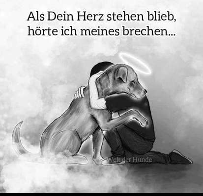 Schmerz-Beitrag-Bild